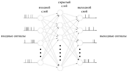 multilayer perceptron with spikes (copied from my
    master thesis and decorated with russian wording)